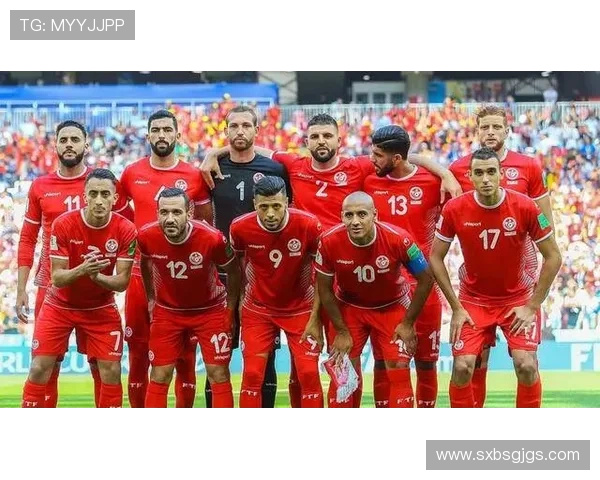 安哥拉与毛里塔尼亚足球对决分析及赛前预测展望